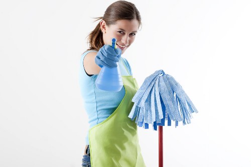 Professional stain removal for carpets in a Maidavale home