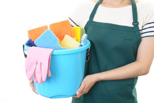 Professional oven cleaning service in a Maidavale home kitchen