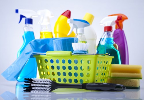 Professional move-in cleaning for a home in Maidavale