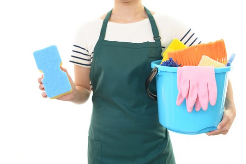 Professional window cleaning for Maidavale homes and shops