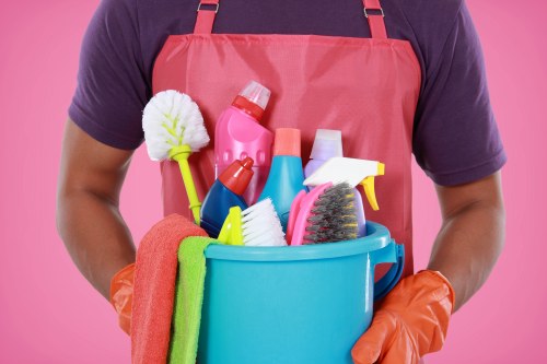 Professional carpet cleaning service for a Maidavale home interior