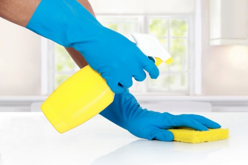 Local cleaning team working in an apartment in Maidavale