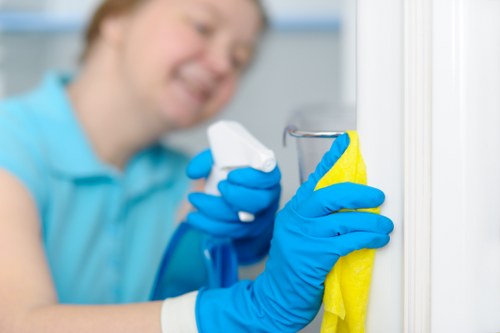 Mattress steam cleaning process for homes and rentals in Maidavale