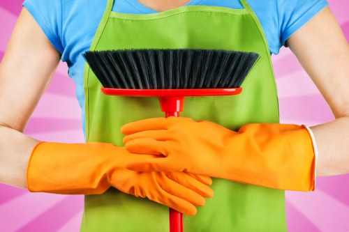 Professional hard floor cleaning for a Maidavale home entryway