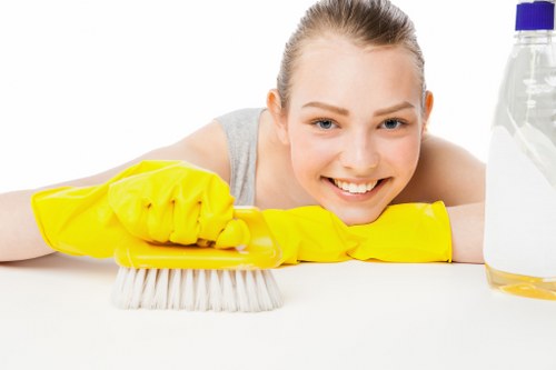 Bathroom and surface sanitising during move-in cleaning in Maidavale