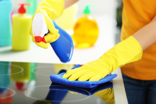 Cleaner applying carpet treatment with protective precautions