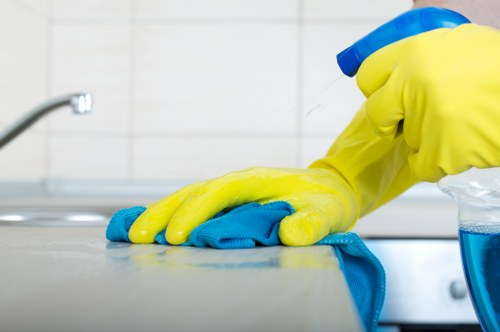 Deep cleaning and move-out cleaning services in Maidavale