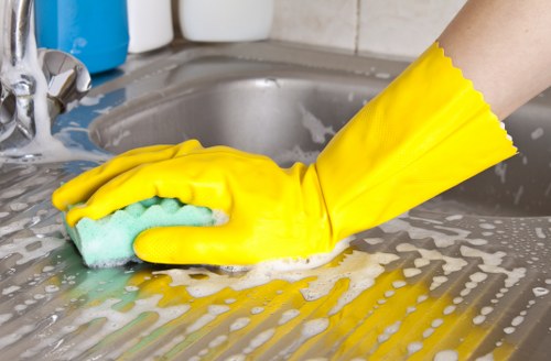 Pet stain and odour extraction cleaning in a residential room