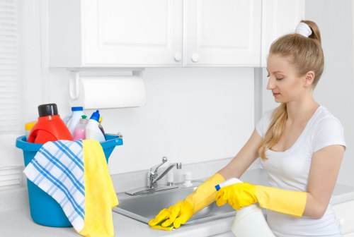 Local cleaner working in a Maidavale apartment building