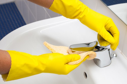 Essential cookies section for Carpet Cleaners Maidavale website settings