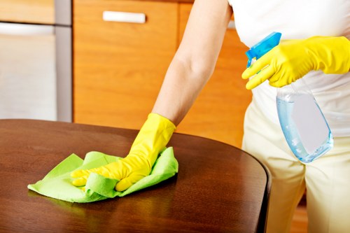 Weekly home cleaning support for Maidavale residents