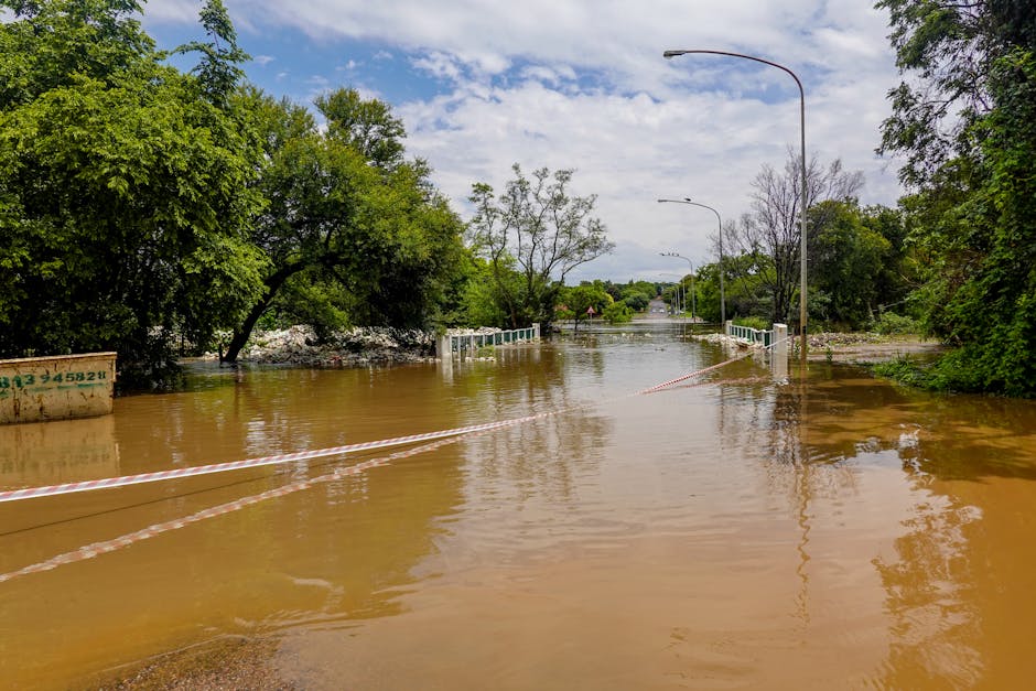 A flooded street scene with muddy water inundating the road and sidewalk, partially submerging streetlights and traffic barriers, surrounded by green trees and a cloudy sky, illustrating the extent of flood damage that may require emergency cleaning and sanitisation. The image emphasizes the importance of professional flood response, such as the services offered by Carpet Cleaners Maida Vale, to restore hygiene and surface cleanliness after water-related emergencies.