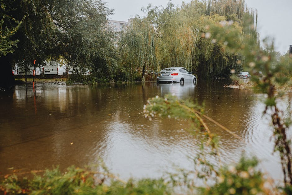 A street scene in Maida Vale showing a flooded area with water covering the pavement and street. The buildings feature a mix of cream and brick façades with large, white-framed windows. A traditional black lamppost stands in the foreground, partially submerged in the floodwater. Nearby, some small shrubs are visible, and the sky above is clear with bright sunlight illuminating the scene. This image highlights the impact of flooding on residential areas, emphasizing the need for thorough cleaning and sanitisation, which Carpet Cleaners Maida Vale offers in emergency flood situations to restore hygiene and prevent damage.